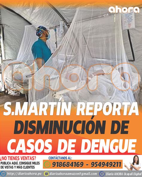 S Mart N Reporta Disminuci N De Casos De Dengue Diario Ahora