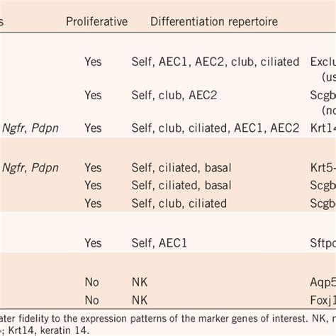 Relationship Between Putative Stem And Progenitor Populations And Their