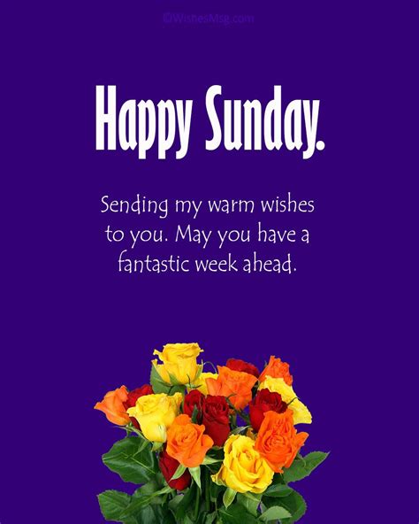 100 Happy Sunday Wishes Messages And Quotes Artofit