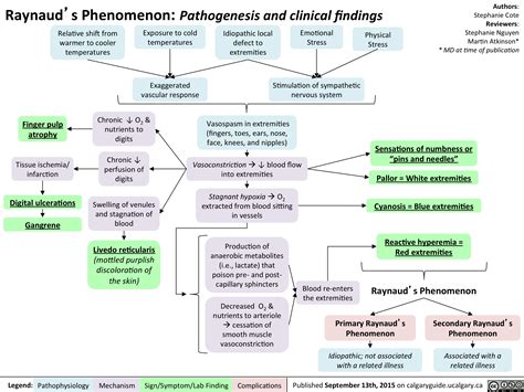 Raynaud’s Phenomenon: Pathogenesis and clinical findings | Calgary Guide