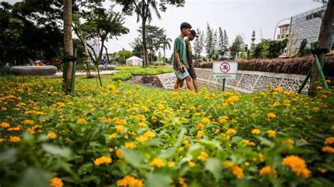 Melihat Keindahan Taman Bio Trans Jakarta