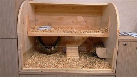 Сколько стоит клетка для морской свинки | Что и сколько стоит