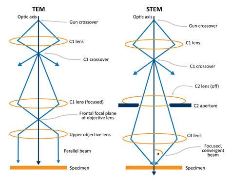 Scanning Transmission Electron Microscopy Nanoscience Instruments