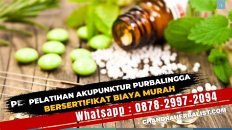 Wa0878 2997 2094 Kursus Pelatihan Akupunktur Di Purbalingga Bersertifikat Biaya Murah