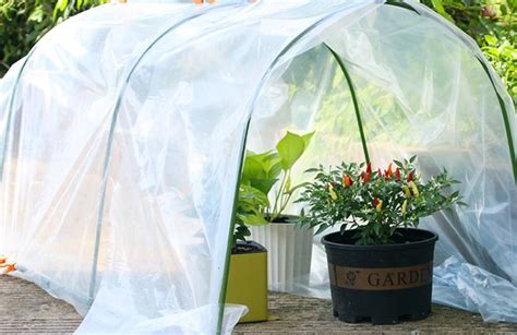 What Is The Best Greenhouse Plastic