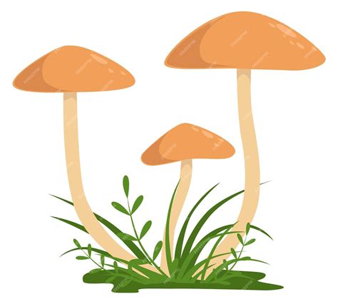 Premium Vector Honey Fungus Icon Growing Wild Mushroom Nature