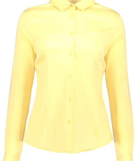 Blusa Gabardina Camisas Ferruche