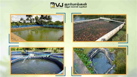 Different Types Of Ponds For Fish Farming Ponds For Fish Culture