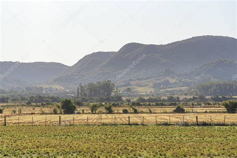 Serra Da Mata Atlntica Considerado Uno De Los Biomas M S Ricos Del