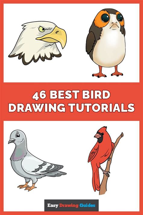 46 Easy Bird Drawing Tutorials | Bird drawings, Drawing tutorial, Easy bird