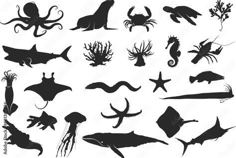 Sea animal silhouette, Ocean animal silhouette, Black silhouettes of ...