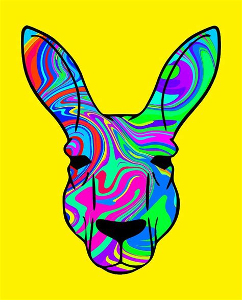 Colorful Kangaroo Digital Art By Chris Butler Fine Art America