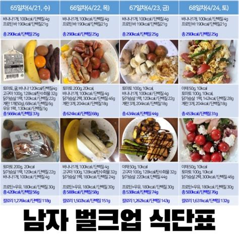 남자 몸 만들기 벌크업 식단표 다이어트 10주차 하루 칼로리 섭취량 1500~1600kcal 단백질 130~150g