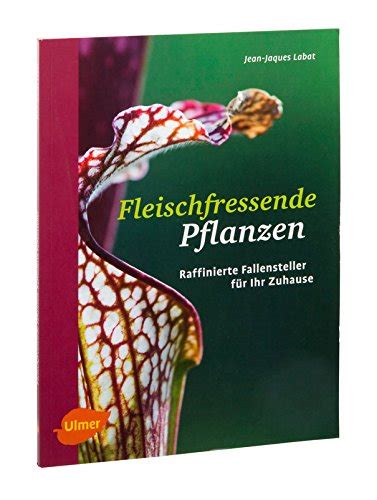 Top Der Besten Fleischfressende Pflanzen Ratgeber