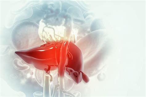 A Life Saving Treatment Liver Transplantation In India Advanced