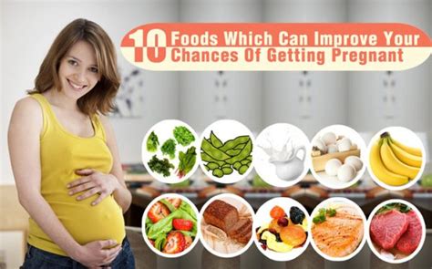 What To Eat To Get Pregnant