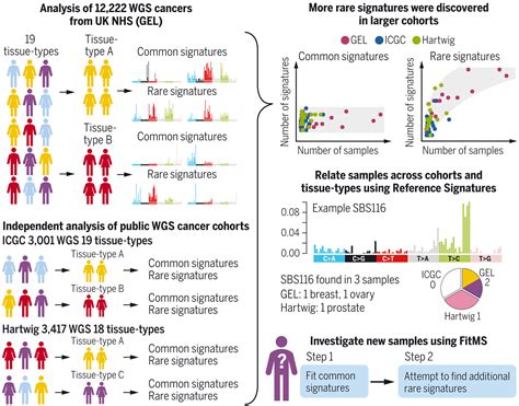 Here Are 12 New Advances In The Battle To Beat Cancer World Economic