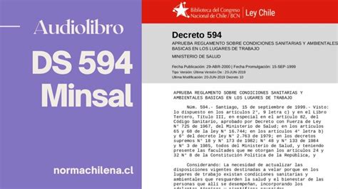 Todo lo que necesitas saber sobre el Decreto Supremo N 594 Artículo 53