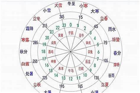 八字如何看自己是什么命运？八字五行如何判断是什么属性的命八字若朴堂文化