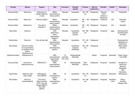 Tablas Y Resumen De Virus Nathalia Elizabeth Anaya Garcia UDocz