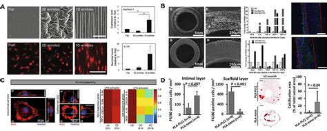 Micro And Nanoscale Biophysical Cues For Cardiovascular Disease