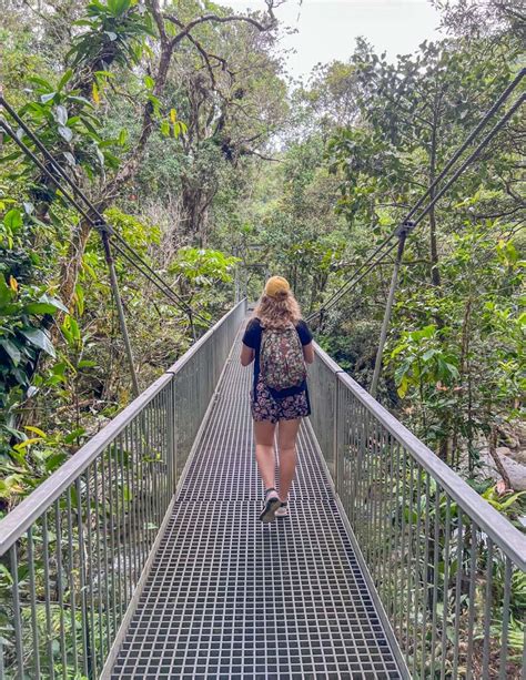 The Best Mossman Gorge Walks And Swimming Holes 2024