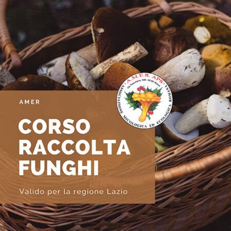 Corso Raccolta Funghi Lazio A M E R Associazione Micologica