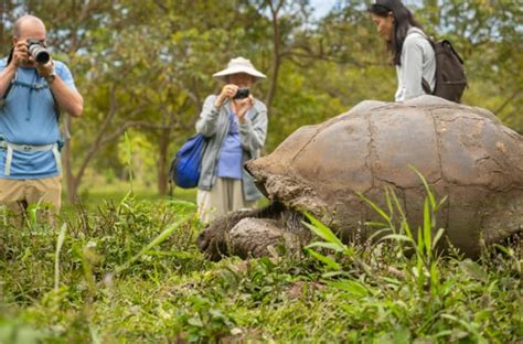 Galapagos Hiking Galapagos Islands Hikes Walks And Sightseeing