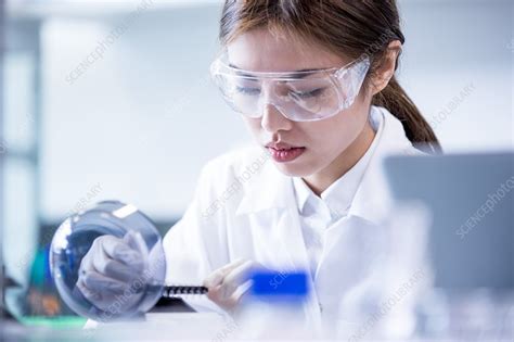 Lab Assistant Using Equipment Stock Image F020 3333 Science Photo