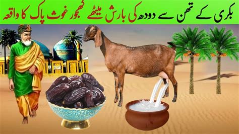 Bakri Ke Than Se Doodh Ki Baarish Aur Meethe Khajoor Ghous Pak Ka