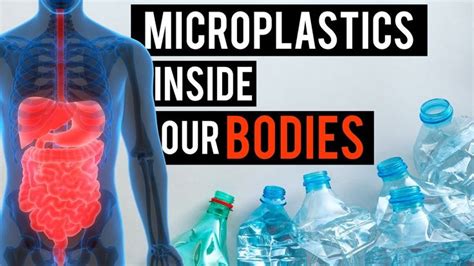 Disturbing Discovery Of Microplastics Inside Our Bodies Youtube Our Body Disturbing Body