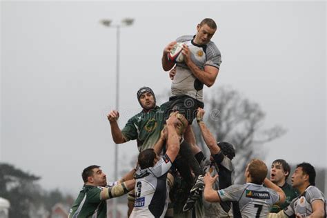 Rugby line out editorial stock photo. Image of sport, junping - 4646688