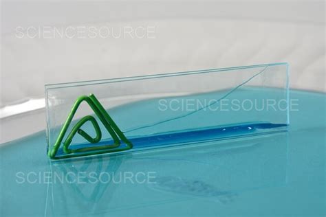 Capillary Action Of Water Stock Image Science Source Images