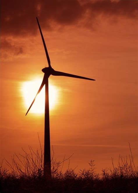 Wind Turbine On Pink Sunset Background Free Image Download