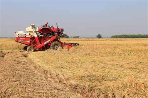 Rice Cutting Machine In The Paddy Field Editorial Image Image Of