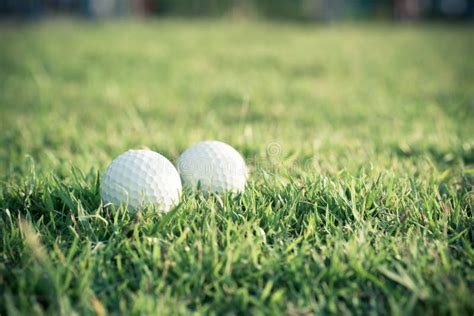 Golf Ball On Grass Stock Photo Image Of Green Outdoors 38850170