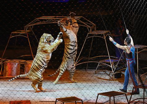 Ringling Bros Circus Returning To Baltimore After 6 Year Hiatus Minus