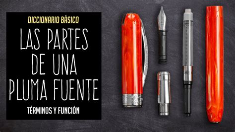 Las Partes De Una Pluma Estudiar