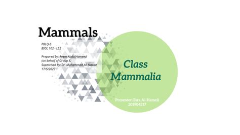 Biol Mammals By Reem Muhammad On Prezi