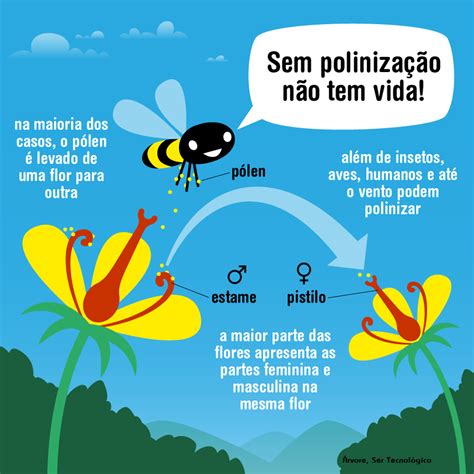 Biboca Ambiental Por Que O Desaparecimento Das Abelhas Seria Uma