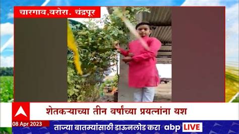 Saat Barachya Batmya 712 Agriculture News Maharashtra Mango Farming