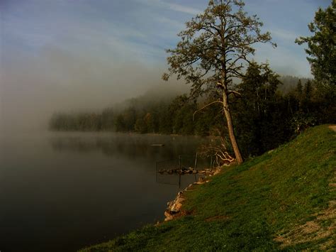 Gratis Billeder Landskab Tr Natur Skov Demark Bjerg Lys T Ge