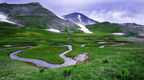 Prateria Caratteristiche Vegetazione Clima Flora E Fauna