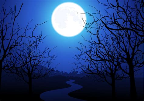 Moonlight Trees Vector - Vector download