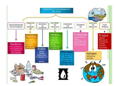 Contaminación Del Agua En Cuadros Sinópticos Cuadro Comparativo Porn