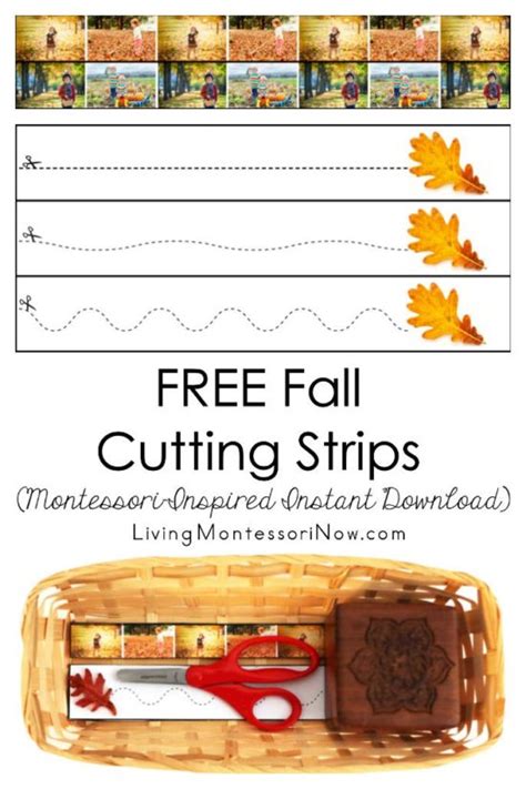 Free Fall Printables And Montessori Inspired Fall Activities Living