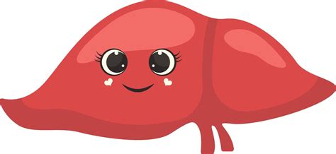 Cute Human Internal Organs Character Illustration In Cartoon Design