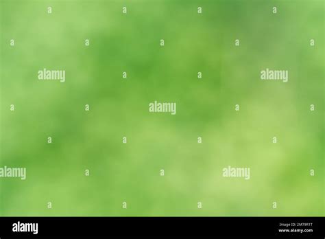 Spring Background Abstract Nature Background With Green Blurred Bokeh