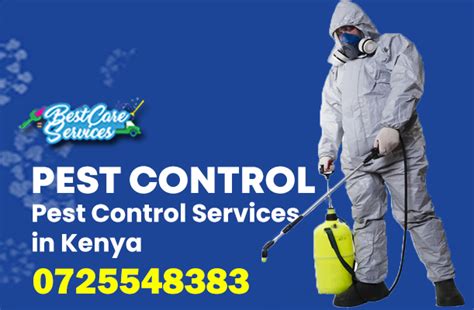 Pest Control Services In Nairobi 0725548383 1 Fumigation Fogging