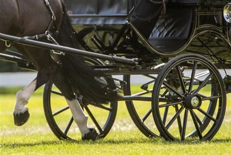 WM Ponyfahrer Oirschot Gelungener Auftakt für Bianca Pürstinger und